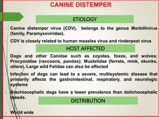 Canine distemper in dogs bihar veterinary college | PPT
