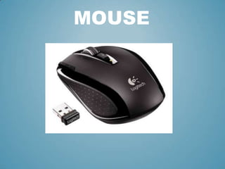 MOUSE

 