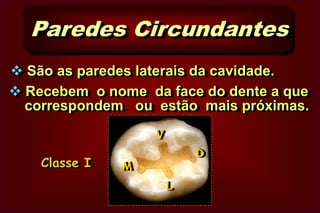    PARTES CONSTITUINTES           DAS CAVIDADES Paredes