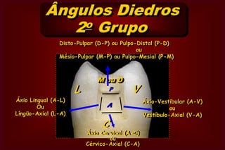   Ângulo Diedro      1o Grupo É o ângulo formado pela união de              duas paredes circundantes.                 V, L, M, D, e CVestibular / Mesial ou Distal (V-M ou V-D)Lingual / Mesial ou Distal (L-M ou L-D)Vestibular / Cervical (V-C)Lingual / Cervical  ( L-C)