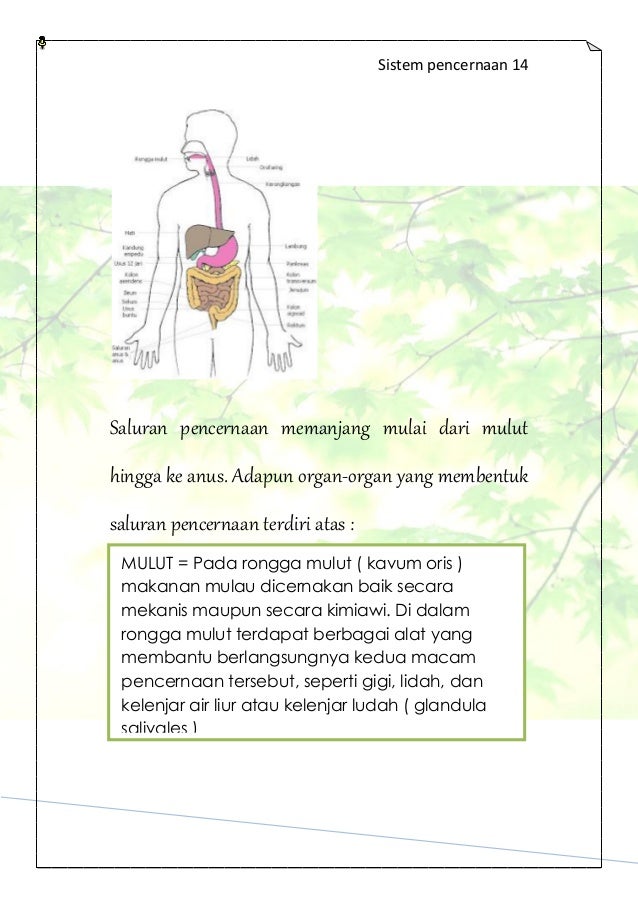 buku SISTEM PENCERNAAANNURHASANAH