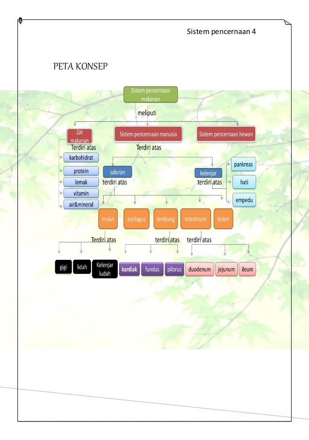 Buku Sistem Pencernaaan Nurhasanah