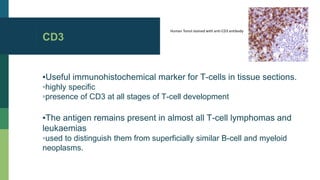 Cd 3 Map Cluster of differentiation | PPTX