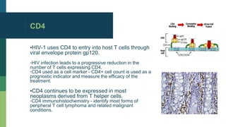 Cluster of differentiation | PPTX