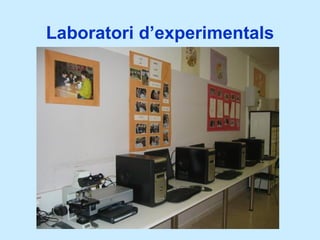 Laboratori d’experimentals 