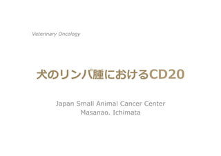 ⽝犬のリンパ腫におけるCD20
Masanao. Ichimata
Veterinary Oncology
 