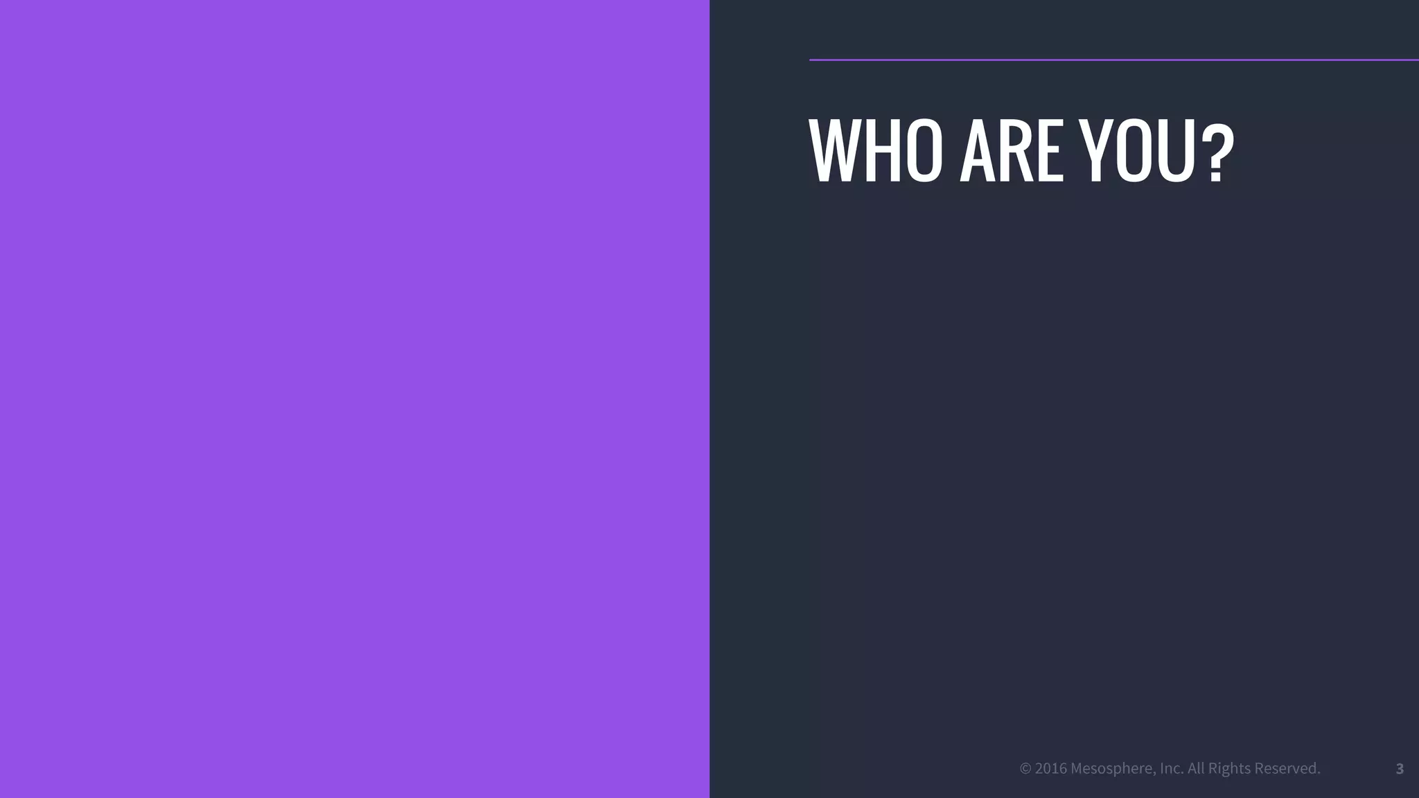 © 2016 Mesosphere, Inc. All Rights Reserved. 3
WHO ARE YOU?
 