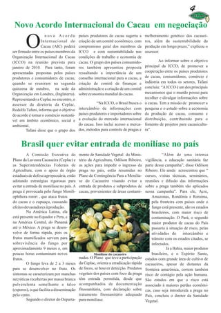4
                                                                                                                página 04



 Novo Acordo Internacional do Cacau em negociação

        O
                     novo Acordo           países produtores de cacau sugeriu a      melhoramento genético dos cacauei-
                  Internacional do         criação de um comitê econômico, com       ros, além da sustentabilidade da
                  Cacau (AIC) poderá       compromisso geral dos membros da          produção em longo prazo,” explicou o
ser firmado entre os países membros da     ICCO e com sustentabilidade nas           assessor.
Organização Internacional do Cacau         condições de trabalho e economia de
(ICCO) na reunião prevista para            cacau. O grupo dos países consumido-              Ao informar sobre o objetivo
janeiro de 2010. Para tanto, foram         res também apresentou proposta            principal da ICCO, de promover a
apresentadas propostas pelos países        ressaltando a importância de um           cooperação entre os países produtores
produtores e consumidores de cacau,        conselho internacional para o cacau, a    de cacau, consumidores, comércio e
quando se reuniram na segunda              criação de comitê de finanças e           indústria em todos os setores, Tafani
quinzena de outubro, na sede da            administração e a criação de um comitê    concluiu: “A ICCO é um dos principais
Organização em Londres, (Inglaterra).      sobre economia mundial do cacau.          mecanismos que o mundo possui para
Representando a Ceplac no encontro, o                                                recolher e divulgar informações sobre
assessor da diretoria da Ceplac,                      “Na ICCO, o Brasil busca o     o cacau. Tem a missão de promover a
Rodolfo Tafani, informa que o objetivo     intercâmbio de informações com            pesquisa e o estudo sobre a economia
do acordo é tornar o comércio sustentá-    países produtores e importadores sobre    da produção de cacau, consumo e
vel em âmbito econômico, social e          a evolução do mercado internacional       distribuição, contribuindo para o
ambiental.                                 do cacau. Isso inclui acesso a merca-     fomento de projetos para cacauicultu-
        Tafani disse que o grupo dos       dos, métodos para controle de pragas e    ra”.


     Brasil quer evitar entrada de monilíase no país
         A Comissão Executiva do           mento de Sanidade Vegetal do Minis-                  “Além de uma intensa
Plano da Lavoura Cacaueira (Ceplac) e      tério da Agricultura, Odilson Ribeiro,    vigilância, a educação sanitária faz
as Superintendências Federais de           as ações para impedir o ingresso da       parte dessa campanha”, disse Odilson
Agricultura, com o apoio de órgão          praga no país, estão resumidas no         Ribeiro. Ele ainda acrescentou que “
estaduais de defesa agropecuária, estão    Plano de Contingência Para a Monilia-     cursos, visitas técnicas, seminários,
adotando estratégias rigorosas para        se do Cacaueiro visando evitar a          reuniões e difusão das informações
evitar a entrada de monilíase no país. A   entrada de produtos e subprodutos de      sobre a praga também são aplicados
praga é provocada pelo fungo Monili-       cacau, provenientes de áreas contami-     nessa campanha”. Para ele, Acre,
ophthora roreri , que ataca frutos                                                       Amazonas, Rondônia e Roraima,
do cacau e o cupuaçu, causando                                                           pela fronteira com países onde o
efeitos devastadores à produção.                                                         fungo está presente, são os estados
         Na América Latina, ela                                                          brasileiros, com maior risco de
está presente no Equador e Peru, e                                                       contaminação. O Pará, o segundo
na América Central, do Panamá                                                            maior produtor de cacau do País
até o México. A praga se desen-                                                          passaria à situação de risco, pelas
volve de forma rápida, pois os                                                           atividades de       intercâmbio e
frutos mumificados servem para                                                           trânsito com os estados citados, se
sobrevivência do fungo por                                                               infectados.
aproximadamente 9 meses e, em                                                                     Já a Bahia, maior produtor
poucas horas contaminam novos                                                            brasileiro, e o Espírito Santo,
frutos.                                    nadas. O Plano que teve a participação    estados com grande área de cultivo de
         O fungo leva de 2 a 3 meses       da Ceplac, orienta a erradicação rápida   cacaueiros, apesar de distantes da
para se desenvolver no fruto. Os           de focos, se houver detecção. Produtos    fronteira amazônica, correm também
sintomas se caracterizam por manchas       vegetais dos países com foco da praga     risco de contágio pela ação humana.
necróticas recobertas por massa branca     têm entrada permitida, desde que          São estados em que o risco está
pulverulenta semelhante a talco            acompanhados de documentação              associado à maiores perdas econômi-
(esporos), o que facilita a disseminação   fitossanitária, com declaração sobre      cas, caso seja introduzida a praga no
pelo vento.                                tratamento fitossanitário adequado        País, concluiu o diretor da Sanidade
         Segundo o diretor do Departa-     para monilíase.                           Vegetal.
 