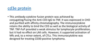 cd3e protein
• This antibody-cytokine fusion protein was achieved by
conjugating/fusing the Anti-CD3 IgG to TNF. It was expressed in CHO
and purified with affinity chromatography. The immunocytokine
retains the ability to bind the CD3 as well as the biological activity of
TNF. TNF-FuP provided a weak stimulus for lymphocyte proliferation,
but it had no effect on LAK cells. However, it supported activation of
Mfs and, to a minor extent, of CTLs. This immunocytokine was
designed for treating CD30-positive lymphoma.
 