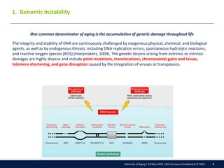 Hallmarks of Aging summary | PDF