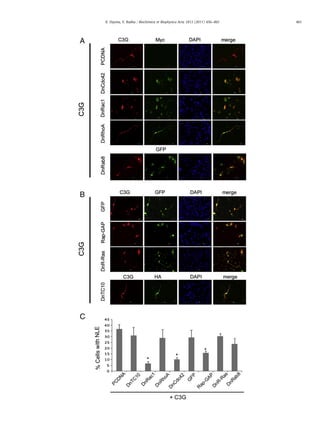 461K. Dayma, V. Radha / Biochimica et Biophysica Acta 1813 (2011) 456–465
 