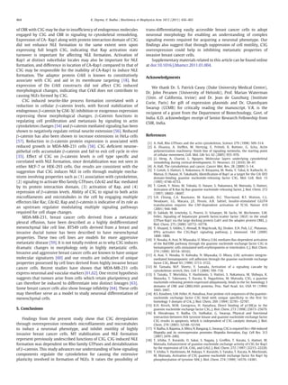 of CBR with C3G may be due to insufﬁciency of endogenous molecules
engaged by C3G and CBR in signaling to cytoskeletal remodeling.
Expression of CA- Rap1 along with protein interaction domain of C3G
did not enhance NLE formation to the same extent seen upon
expressing full length C3G, indicating that Rap activation state
turnover is important for affecting NLE formation. Activation of
Rap1 at distinct subcellular locales may also be important for NLE
formation, and difference in location of CA-Rap1 compared to that of
C3G may be responsible for the inability of CA-Rap1 to induce NLE
formation. The adaptor protein CrkII is known to constitutively
associate with C3G and aid in its membrane targeting [18]. But
expression of Dn CrkII constructs did not affect C3G induced
morphological changes, indicating that CrkII does not contribute to
causing NLEs formed by C3G.
C3G induced neurite-like process formation correlated with a
reduction in cellular β-catenin levels, with forced stabilization of
endogenous β-catenin by GSK-3β inhibition or exogenous expression
repressing these morphological changes. β-Catenin functions in
regulating cell proliferation and metastasis by signaling to actin
cytoskeleton changes [54] and β-catenin mediated signaling has been
shown to negatively regulate retinal neurite extension [56]. Reduced
β-catenin has also been shown to increase extensions in HeLa cells
[57]. Reduction in β-catenin protein expression is associated with
reduced growth in MDA-MB-231 cells [58]. C3G deﬁcient neuroe-
pithelial cells accumulate β-catenin and fail to exit cell cycle in vivo
[35]. Effect of C3G on β-catenin levels is cell type speciﬁc and
correlated with NLE formation, since destabilization was not seen in
either MCF-7 or HEK-293 cells. Our results are consistent with the
suggestion that C3G induces NLE in cells through multiple mecha-
nisms involving properties such as (1) association with cytoskeleton,
(2) signaling to activate Rho family GTPases, Cdc42 and Rac mediated
by its protein interaction domain, (3) activation of Rap, and (4)
repression of β-catenin levels. Ability of C3G to signal to both actin
microﬁlaments and microtubules in the cell by engaging multiple
effectors like Rac, Cdc42, Rap and β-catenin is indicative of its role as
an upstream regulator modulating multiple signaling pathways
required for cell shape changes.
MDA-MB-231, breast cancer cells derived from a metastatic
pleural effusion, have been described as a highly dedifferentiated
mesenchymal like cell line. BT549 cells derived from a breast and
invasive ductal tumor has been described to have mesenchymal
properties. These two cell lines are models for more aggressive
metastatic disease [59]. It is not totally evident as to why C3G induces
dramatic changes in morphology only in highly metastatic cells.
Invasive and aggressive breast cancer cells are known to have unique
molecular signatures [60] and our results are indicative of unique
properties possessed by cell lines derived from highly invasive breast
cancer cells. Recent studies have shown that MDA-MB-231 cells
express neuronal and vascular markers [61,62]. One recent hypothesis
suggests that tumors arise from cells which retain pluripotency and
can therefore be induced to differentiate into distinct lineages [63].
Some breast cancer cells also show lineage inﬁdelity [64]. These cells
may therefore serve as a model to study neuronal differentiation of
mesenchymal cells.
5. Conclusions
Findings from the present study show that C3G deregulation
through overexpression remodels microﬁlaments and microtubules
to induce a neuronal phenotype, and inhibit motility of highly
invasive breast cancer cells. MT stabilization and NLE formation
represent previously undescribed functions of C3G. C3G induced NLE
formation was dependent on Rho family GTPases and destabilization
of β-catenin. This study advances our understanding of how signaling
components regulate the cytoskeleton for causing the extensive
plasticity involved in formation of NLEs. It raises the possibility of
trans-differentiating easily accessible breast cancer cells to adopt
neuronal morphology for enabling an understanding of complex
signaling events required for acquiring a neuronal phenotype. Our
ﬁndings also suggest that through suppression of cell motility, C3G
overexpression could help in inhibiting metastatic properties of
invasive breast cancer cells.
Supplementary materials related to this article can be found online
at doi:10.1016/j.bbamcr.2011.01.004.
Acknowledgments
We thank Dr. S. Patrick Casey (Duke University Medical Centre),
Dr. John Peranen (University of Helsinki), Prof. Marian Waterman
(Univ. of California, Irvine) and Dr. Jean de Gunzburg (Institute
Curie, Paris) for gift of expression plasmids and Dr. Ghanshyam
Swarup (CCMB) for critically reading the manuscript. V.R. is the
recipient of a grant from the Department of Biotechnology, Govt. of
India. K.D. acknowledges receipt of Senior Research Fellowship from
CSIR, India.
References
[1] A. Hall, Rho GTPases and the actin cytoskeleton, Science 279 (1998) 509–514.
[2] A. Disanza, A. Steffen, M. Hertzog, E. Frittoli, K. Rottner, G. Scita, Actin
polymerization machinery: ﬁnish line of signaling networks, the starting point
of cellular movement, Cell. Mol. Life Sci. 62 (2005) 955–970.
[3] J.I. Heng, A. Chariot, L. Nguyen, Molecular layers underlying cytoskeletal
remodeling during cortical development, Tr. Neurosci. 33 (2010) 38–47.
[4] A. Hall, The cytoskeleton and cancer, Cancer Met. Rev. 28 (2009) 5–14.
[5] T. Gotoh, S. Hattori, S. Nakamura, H. Kitayama, M. Noda, Y. Takai, K. Kaibuchi, H.
Matsui, O. Hatase, H. Takahashi, Identiﬁcation of Rap1 as a target for the Crk SH3
domain-binding guanine nucleotide-releasing factor C3G, Mol. Cell. Biol. 15
(1995) 6746–6753.
[6] T. Gotoh, Y. Niino, M. Tokuda, O. Hatase, S. Nakamura, M. Matsuda, S. Hattori,
Activation of R-Ras by Ras-guanine nucleotide-releasing factor, J. Biol. Chem. 272
(1997) 18602–18607.
[7] S.H. Chiang, C.A. Baumann, M. Kanzaki, D.C. Thurmond, R.T. Watson, C.L.
Neudauer, I.G. Macara, J.E. Pessin, A.R. Saltiel, Insulin-stimulated GLUT4
translocation requires the CAP-dependent activation of TC10, Nature 410
(2001) 944–948.
[8] D. Sakkab, M. Lewitzky, G. Posern, U. Schaeper, M. Sachs, W. Birchmeier, S.M.
Feller, Signaling of hepatocyte growth factor/scatter factor (HGF) to the small
GTPase Rap1 via the large docking protein Gab1 and the adapter protein CRKL, J.
Biol. Chem. 275 (2000) 10772–10778.
[9] Y. Alsayed, S. Uddin, S. Ahmad, B. Majchrzak, B.J. Druker, E.N. Fish, L.C. Platanias,
IFNγ activates the C3G/Rap1 signaling pathway, J. Immunol. 164 (2000)
1800–1806.
[10] Y. Nosaka, A. Arai, N. Miyasaka, O. Miura, CrkL mediates Ras-dependent activation
of the Raf/ERK pathway through the guanine nucleotide exchange factor C3G in
hematopoietic cells stimulated with erythropoietin or interleukin-3, J. Biol. Chem.
274 (1999) 30154–30162.
[11] A. Arai, Y. Nosaka, H. Kohsaka, N. Miyasaka, O. Miura, CrkL activates integrin-
mediated hematopoietic cell adhesion through the guanine nucleotide exchange
factor C3G, Blood 93 (1999) 3713–3722.
[12] M. Tamada, M.P. Sheetz, Y. Sawada, Activation of a signaling cascade by
cytoskeleton stretch, Dev. Cell 7 (2004) 709–718.
[13] S. Tanaka, T. Morishita, Y. Hashimoto, S. Hattori, S. Nakamura, M. Shibuya, K.
Matuoka, T. Takenawa, T. Kurata, K. Nagashima, M. Matsuda, C3G, a guanine
nucleotide-releasing protein expressed ubiquitously, binds to the Src homology 3
domains of CRK and GRB2/ASH proteins, Proc. Natl Acad. Sci. USA 91 (1994)
3443–3447.
[14] B.S. Knudsen, S.M. Feller, H. Hanafusa, Four proline-rich sequences of the guanine-
nucleotide exchange factor C3G bind with unique speciﬁcity to the ﬁrst Src
homology 3 domain of Crk, J. Biol. Chem. 269 (1994) 32781–32787.
[15] K.H. Kirsch, M.M. Georgescu, H. Hanafusa, Direct binding of p130Cas to the
guanine nucleotide exchange factor C3G, J. Biol. Chem. 273 (1998) 25673–25679.
[16] R. Shivakrupa, V. Radha, Ch. Sudhakar, G. Swarup, Physical and functional
interaction between Hck tyrosine kinase and guanine nucleotide exchange factor
C3G results in apoptosis, which is independent of C3G catalytic domain, J. Biol.
Chem. 278 (2003) 52188–52194.
[17] V. Radha, A. Rajanna, A. Mitra, N. Rangaraj, G. Swarup, C3G is required for c-Abl-induced
ﬁlopodia and its overexpression promotes ﬁlopodia formation, Exp. Cell Res. 313
(2007) 2476–2492.
[18] T. Ichiba, Y. Kuraishi, O. Sakai, S. Nagata, J. Groffen, T. Kurata, S. Hattori, M.
Matsuda, Enhancement of guanine-nucleotide exchange activity of C3G for Rap1
by the expression of Crk, CrkL, and Grb2, J. Biol. Chem. 272 (1997) 22215–22220.
[19] T. Ichiba, Y. Hashimoto, M. Nakaya, Y. Kuraishi, S. Tanaka, T. Kurata, N. Mochizuki,
M. Matsuda, Activation of C3G guanine nucleotide exchange factor for Rap1 by
phosphorylation of tyrosine 504, J. Biol. Chem. 274 (1999) 14376–14381.
464 K. Dayma, V. Radha / Biochimica et Biophysica Acta 1813 (2011) 456–465
 