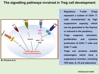 Cd4+ T cell- The 'quarterback' of Immune System. | PPTX