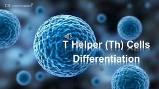 CD Creative Diagnostics
®
T Helper (Th) Cells
Differentiation
 