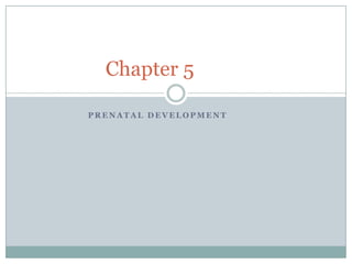 Prenatal Development		 Chapter 5		 