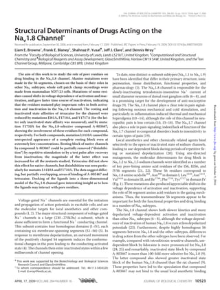 Structural Determinants of Drugs Acting on the
Nav1.8 Channel*
Received for publication,September 30, 2008, and in revised form, February 17, 2009 Published, JBC Papers in Press,February 19, 2009, DOI 10.1074/jbc.M807569200
Liam E. Browne‡
, Frank E. Blaney§
, Shahnaz P. Yusaf¶
, Jeff J. Clareʈ
, and Dennis Wray‡1
From the ‡
Faculty of Biological Sciences, University of Leeds, Leeds LS2 9JT, United Kingdom, §
Computational and Structural
Chemistry and ¶
Biological Reagents and Assay Development, GlaxoSmithKline, Harlow CM19 5AW, United Kingdom, and the ʈ
Ion
Channel Group, Millipore, Cambridge CB5 8PB, United Kingdom
The aim of this work is to study the role of pore residues on
drug binding in the NaV1.8 channel. Alanine mutations were
made in the S6 segments, chosen on the basis of their roles in
other NaV subtypes; whole cell patch clamp recordings were
made from mammalian ND7/23 cells. Mutations of some resi-
dues caused shifts in voltage dependence of activation and inac-
tivation, and gave faster time course of inactivation, indicating
that the residues mutated play important roles in both activa-
tion and inactivation in the NaV1.8 channel. The resting and
inactivated state affinities of tetracaine for the channel were
reduced by mutations I381A, F1710A, and Y1717A (for the lat-
ter only inactivated state affinity was measured), and by muta-
tion F1710A for the NaV1.8-selective compound A-803467,
showing the involvement of these residues for each compound,
respectively. For both compounds, mutation L1410A caused the
unexpected appearance of a complete resting block even at
extremely low concentrations. Resting block of native channels
by compound A-803467 could be partially removed (“disinhibi-
tion”) by repetitive stimulation or by a test pulse after recovery
from inactivation; the magnitude of the latter effect was
increased for all the mutants studied. Tetracaine did not show
this effect for native channels, but disinhibition was seen partic-
ularly for mutants L1410A and F1710A. The data suggest differ-
ing, but partially overlapping, areas of binding of A-803467 and
tetracaine. Docking of the ligands into a three-dimensional
model of the NaV1.8 channel gave interesting insight as to how
the ligands may interact with pore residues.
Voltage-gated Naϩ
channels are essential for the initiation
and propagation of action potentials in excitable cells and are
the molecular targets for local anesthetics and other com-
pounds (1, 2). The major structural component of voltage-gated
Naϩ
channels is a large (230–270kDa) ␣-subunit, which is
alone sufficient to form a functional Naϩ
conducting channel.
This subunit contains four homologous domains (I–IV), each
containing six membrane-spanning segments (S1–S6) (3). In
response to membrane depolarization, an outward movement
of the positively charged S4 segments induces the conforma-
tional changes in the pore leading to the conducting activated
state (4). The channels then enter inactivated states within a few
milliseconds of channel opening.
To date, nine distinct ␣-subunit subtypes (NaV1.1 to NaV1.9)
have been identified that differ in their primary structure, ionic
permeation, tissue distribution, functional properties, and
pharmacology (5). The NaV1.8 channel is responsible for the
slowly-inactivating tetrodotoxin-insensitive Naϩ
current of
small diameter neurons of dorsal root ganglion cells (6–8), and
is a promising target for the development of anti-nociceptive
drugs (9). The NaV1.8 channel plays a clear role in pain signal-
ing following noxious mechanical and cold stimulation, and
particularly in inflammation-induced thermal and mechanical
hyperalgesia (10–14), although the role of this channel in neu-
ropathic pain is less certain (10, 15–18). The NaV1.7 channel
also plays a role in pain signaling; indeed lack of function of the
NaV1.7 channel in congenital disorders leads to insensitivity to
certain types of pain (19).
Local anesthetics and other chemically related agents bind
selectively to the open or inactivated state of sodium channels,
leading to use-dependent block during periods of repetitive fir-
ing or sustained depolarization (20). Using site-directed
mutagenesis, the molecular determinants for drug block in
NaV1.2 to NaV1.5 sodium channels were identified as a number
of key pore-lining amino acid residues of the IS6, IIIS6, and
IVS6 segments (21, 22). These S6 residues correspond to
NaV1.8 amino acids Ile381
, Asn390
in domain I, Leu1410
, Asn1411
,
Val1414
in domain III, and Ile1706
, Phe1710
, Tyr1717
in domain IV
(Fig. 1). These mutations also produced appreciable shifts in the
voltage dependence of activation and inactivation, supporting
the role of S6 segment amino acid residues in the gating mech-
anisms. Thus, the transmembrane S6 segments appear to be
important for both the functional properties and drug binding
in a number of NaV subtypes.
The NaV1.8 channel shows both slower kinetics and more
depolarized voltage-dependent activation and inactivation
than other NaV subtypes (6–8), although the voltage depend-
ence of inactivation of human NaV1.8 occurs at less depolarized
potentials (23). Furthermore, despite highly homologous S6
segments between NaV1.8 and the other subtypes, differences
in drug action from the other subtypes have been observed. For
example, compared with tetrodotoxin-sensitive channels, use-
dependent block by lidocaine is more pronounced for NaV1.8
(24, 25) and remarkably, inactivated state block by compound
A-803467 is more than 100-fold more selective for NaV1.8 (9).
The latter compound also showed greater inactivated state
block of the human NaV1.8 channel than the rat channel (9).
These properties have led to the speculation that compound
A-803467 may not bind to the usual local anesthetic binding
* This work was supported by the Biotechnology and Biological Sciences
Research Council and GlaxoSmithKline.
1
To whom correspondence should be addressed. Tel.: 44-113-3434320;
E-mail: d.wray@leeds.ac.uk.
THE JOURNAL OF BIOLOGICAL CHEMISTRY VOL. 284, NO. 16, pp. 10523–10536, April 17, 2009
© 2009 by The American Society for Biochemistry and Molecular Biology, Inc. Printed in the U.S.A.
APRIL 17, 2009•VOLUME 284•NUMBER 16 JOURNAL OF BIOLOGICAL CHEMISTRY 10523
byguestonOctober9,2016http://www.jbc.org/Downloadedfrom
 