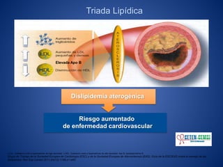 Triada Lipídica
c-LDL: Colesterol unido a lipoproteínas de baja densidad. c-HDL: Colesterol unido a lipoproteínas de alta densidad. Apo B: Apolipoproteína B.
Grupo de Trabajo de la Sociedad Europea de Cardiología (ESC) y de la Sociedad Europea de Aterosclerosis (EAS). Guía de la ESC/EAS sobre el manejo de las
dislipemias. Rev Esp Cardiol 2011;64(12):1168.e1-e60.
Dislipidemia aterogénica
Riesgo aumentado
de enfermedad cardiovascular
Elevada Apo B
 