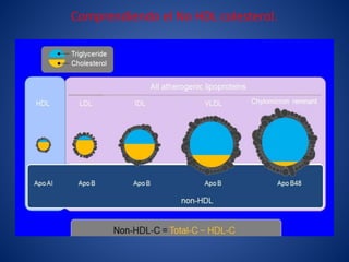Comprendiendo el No HDL colesterol.
 