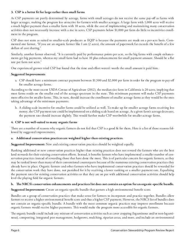 CSP Review Report_Final (1)