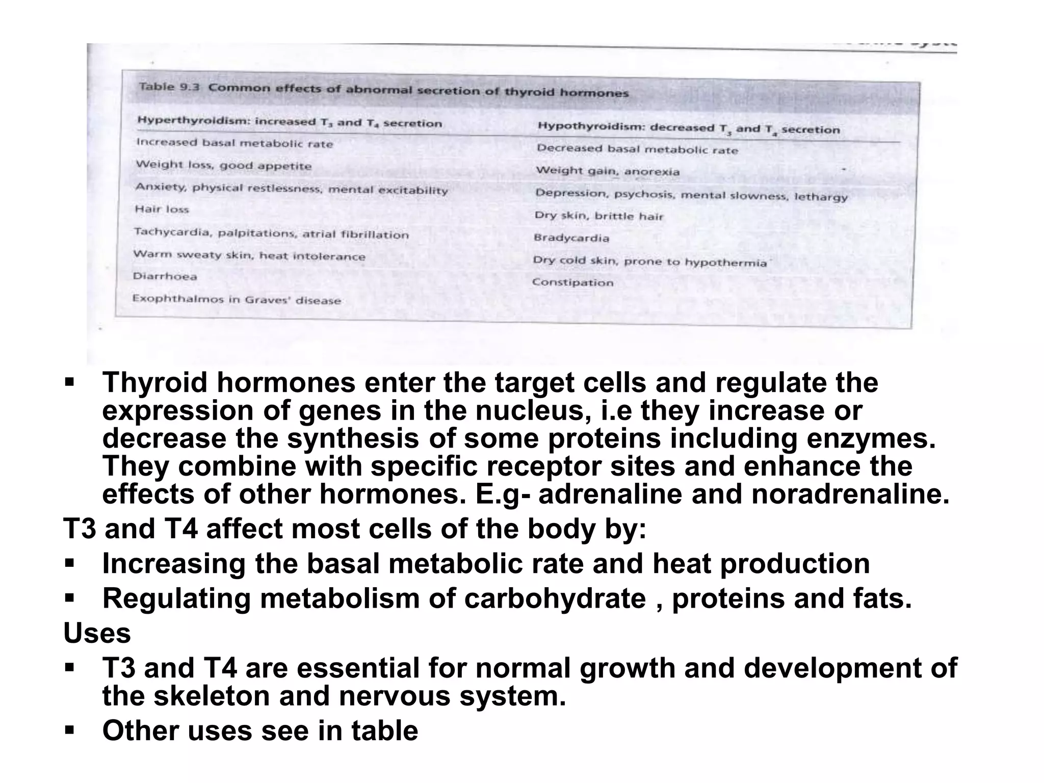 Thyroid hormones enter the target cells and regulate the
expression of genes in the nucleus, i.e they increase or
decrease the synthesis of some proteins including enzymes.
They combine with specific receptor sites and enhance the
effects of other hormones. E.g- adrenaline and noradrenaline.
T3 and T4 affect most cells of the body by:
 Increasing the basal metabolic rate and heat production
 Regulating metabolism of carbohydrate , proteins and fats.
Uses
 T3 and T4 are essential for normal growth and development of
the skeleton and nervous system.
 Other uses see in table
 