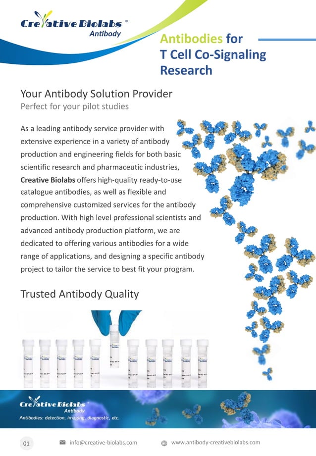 Cd96 antibody for t cell co signaling research PDF