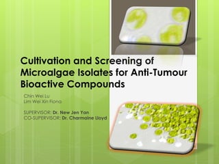 Cultivation and Screening of
Microalgae Isolates for Anti-Tumour
Bioactive Compounds
Chin Wei Lu
Lim Wei Xin Fiona
SUPERVISOR: Dr. New Jen Yan
CO-SUPERVISOR: Dr. Charmaine Lloyd
 