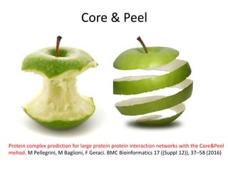 Core & Peel
Protein complex prediction for large protein protein interaction networks with the Core&Peel
mehod. M Pellegrini, M Baglioni, F Geraci. BMC Bioinformatics 17 ((Suppl 12)), 37–58 (2016)
 