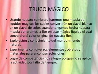 TRUCO MÁGICOUsando nuestro sombrero haremos una mezcla de líquidos mágicos los cuales convertirán un clavel blanco en un clavel de color, cuando tengamos hecha nuestra mezcla pondremos la flor en este mágico liquido el cual convertirá el color original de nuestra flor.Exploración y conocimiento del mundo- mundo natural.Experimenta con diversos elementos , objetos y materiales para encontrar solucionesLogro de competencia- no se logró porque no se aplicó la actividad por falta de tiempo.