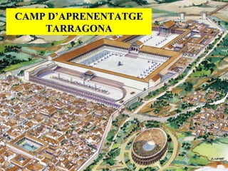CAMP D’APRENENTATGE
TARRAGONA

 