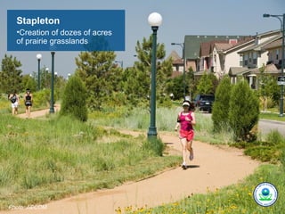 Stapleton
  •Creation of dozes of acres
  of prairie grasslands




Photo: AECOM.
 