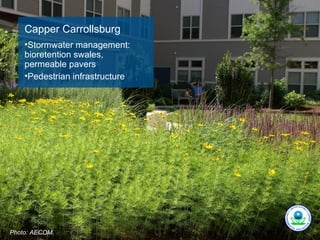 Capper Carrollsburg
    •Stormwater management:
    bioretention swales,
    permeable pavers
    •Pedestrian infrastructure




Photo: AECOM.
 