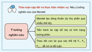 CD Bai 38 Quy luat di truyen cua Mendel.pptx