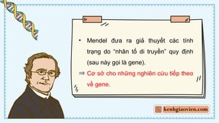 CD Bai 38 Quy luat di truyen cua Mendel.pptx