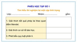CD Bai 38 Quy luat di truyen cua Mendel.pptx