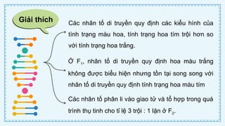 CD Bai 38 Quy luat di truyen cua Mendel.pptx