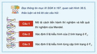 CD Bai 38 Quy luat di truyen cua Mendel.pptx
