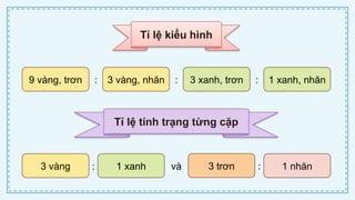 CD Bai 38 Quy luat di truyen cua Mendel.pptx