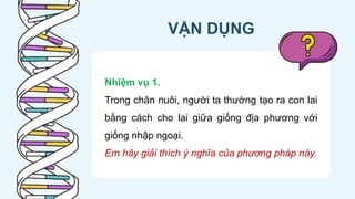 CD Bai 38 Quy luat di truyen cua Mendel.pptx