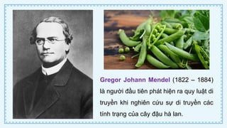 CD Bai 38 Quy luat di truyen cua Mendel.pptx
