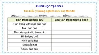 CD Bai 38 Quy luat di truyen cua Mendel.pptx