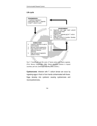 Communicable Disease Control
154
Life cycle
Fig.7.1 Transmission and life cycle of Taenia solium and Taenia saginata.
(From Monica Chesbrough, 1998, District laboratory practice in tropical
countries, part one, Cambridge University press, London.)
Cysticercosis: Infection with T. solium larvae can occur by
ingesting eggs in food or from hands contaminated with feces.
Eggs develop into cysticerci causing cysticercosis and
neurocysticercosis.
TRANSMISSION
1. Cysticerci ingested in
undercooked meat. T. saginata
in beef T. solium in pork.
ENVIRONMENT
6. Segments and eggs reach ground
where animals feed.
Animal host:
Cattle for T. saginata pig for T. solium
7. Eggs ingested.
8. Embryos carried to muscles. Develop
into infective cysticerci.
HUMAN HOST
2. Cysticerci attached to wall of
small intestine.
3. Become mature tapeworms
4. Eggs released when gravid
segments become
detached.
5. Eggs and gravid segments
passed in feces.
 