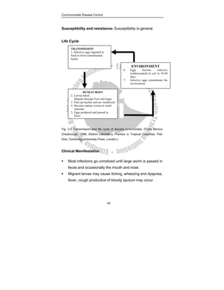 Communicable Disease Control
44
Susceptibility and resistance- Susceptibility is general.
Life Cycle
Fig. 3.4 Transmission and life cycle of Ascaris lumbricoides. (From Monica
Chesbrough, 1998, District Laboratory Practice in Tropical Countries, Part
One, Cambridge University Press, London.)
Clinical Manifestation
ƒ Most infections go unnoticed until large worm is passed in
feces and occasionally the mouth and nose.
ƒ Migrant larvae may cause itching, wheezing and dyspnea,
fever, cough productive of bloody sputum may occur.
TRANSMISSION
1. Infective eggs ingested in
food or from contaminated
hands
ENVIRONMENT
6. Eggs become infective
(embryonated) in soil in 30-40
days.
7. Infective eggs contaminate the
environment.
HUMAN HOST
2. Larvae hatch.
Migrate through liver and lungs.
3. Pass up trachea and are swallowed
4. Become mature worms in small
intestine
5. Eggs produced and passed in
feces.
 
