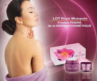 Catalogue promotion compagne 11 2015 TEL 20631567