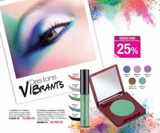 Catalogue promotion compagne 11 2015 TEL 20631567