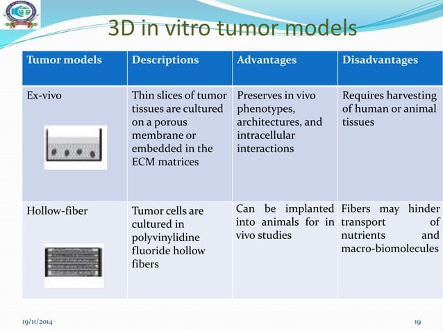 3D cell culture techniques for the tumor models | PPTX