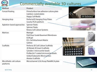 Commercially available 3D cultures
19/11/2014 21
 