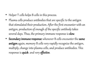 • Helper T cells helps B cells in this process.
• Plasma cells produce antibodies that are specific to the antigen
that stimulated their production. After the first encounter with an
antigen, production of enough of the specific antibody takes
several days. Thus, the primary immune response is slow.
• Secondaryimmune response: whenever B cells encounter the same
antigenagain, memory B cells very rapidly recognize the antigen,
multiply, change into plasma cells, and produce antibodies. This
response is quick and very effective.
 