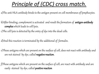Principle of (CDC) cross match.
a)The anti-HLA antibody binds to the antigen present on cell membranes of lymphocytes.
b)After binding, complement is activated and result the formation of antigen-antibody
complexwhich leads to cell lysis.
c)The cell lysis is detected by the entry of dye into the dead cells.
d)And this reaction is terminated by the additional of formalin.
e)Those antigens which are present on the surface of cell, does not react with antibody and
are not stained by dye, called negativereaction.
f)Those antigens which are present on the surface of cell, are react with antibody and are
easily stained by dye, called positive reaction
 
