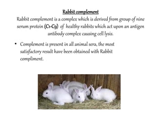 Rabbitcomplement
Rabbit complement is a complex which is derived from group of nine
serum protein (C1-C9) of healthy rabbits which act upon an antigen
antibody complex causing cell lysis.
• Complement is present in all animal sera, the most
satisfactory result have been obtained with Rabbit
compliment.
 