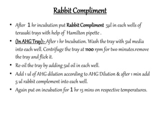 Rabbit Compliment
• After 1 hr incubation put RabbitCompliment 5µl in each wells of
terasaki trays with help of Hamilton pipette .
• (InAHG Tray):-After 1 hr Incubation. Wash the tray with 5ul media
into each well. Centrifuge the tray at 1100 rpm for two minutes.remove
the tray and flick it.
• Re-oil the tray by adding 5ul oil in each well.
• Add 1 ul of AHG dilution according to AHG Dilution & after 1 min add
5 ul rabbit complement into each well.
• Again put on incubation for 1 hr 15 mins on respective temperatures.
 